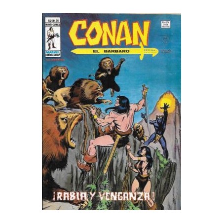 CONAN EL BARBARO VERTICE VOL.2 DISPONIBLES