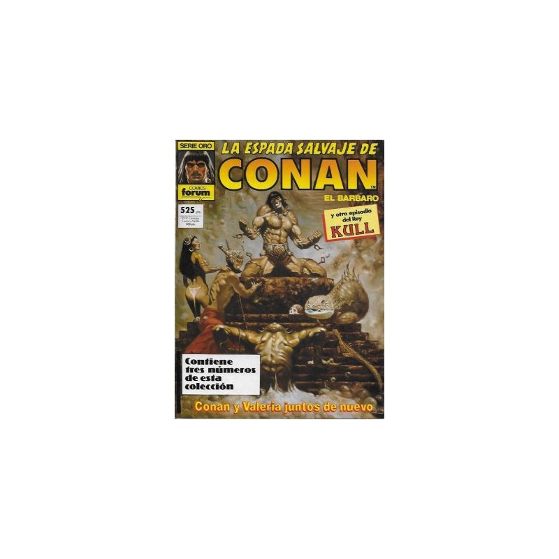 LA ESPADA SALVAJE DE CONAN RETAPADOS