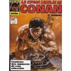 LA ESPADA SALVAJE DE CONAN RETAPADOS