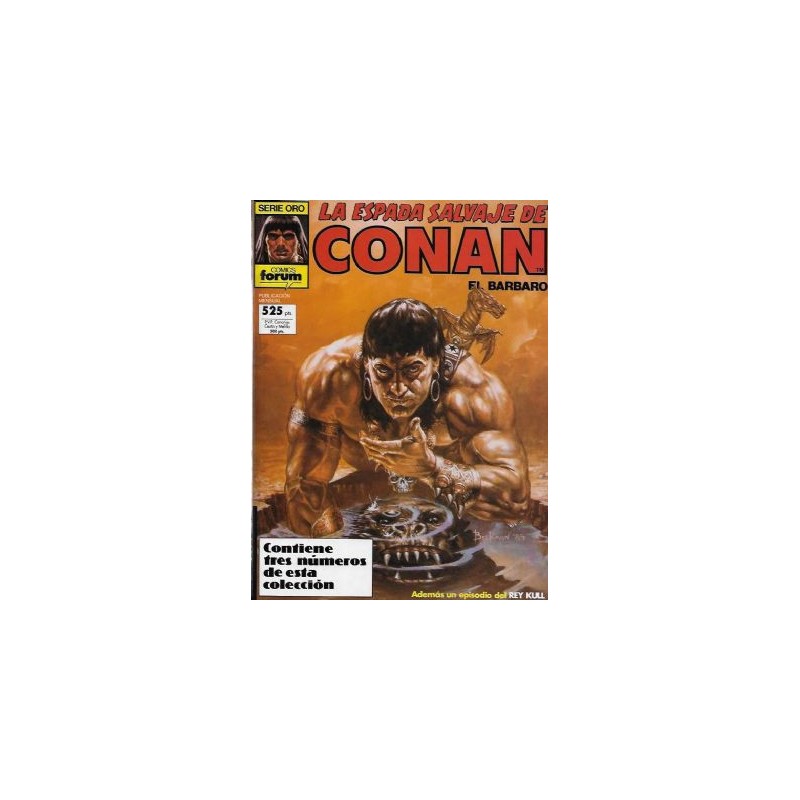 LA ESPADA SALVAJE DE CONAN RETAPADOS