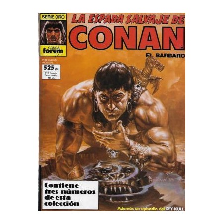 LA ESPADA SALVAJE DE CONAN RETAPADOS