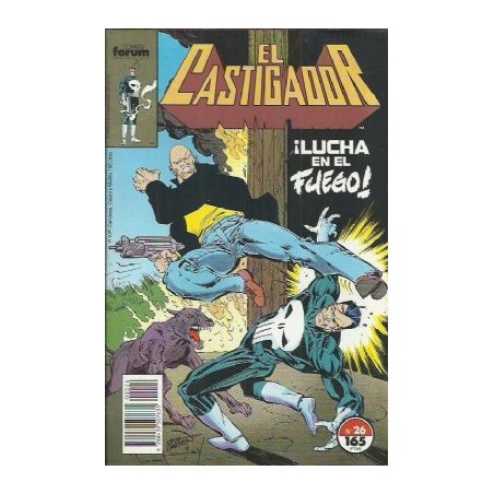 EL CASTIGADOR ( THE PUNISHER ) DISPONIBLES