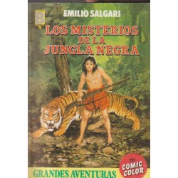 GRANDES AVENTURAS ED.B ( JOYAS LITERARIAS JUVENILES ) LOTE DE 17 TEBEOS DE 35 PUBLICADOS CON NUMEROS : 1 A 5,8,11,12,15,19 A 22,25 A 28