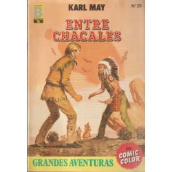 GRANDES AVENTURAS ED.B ( JOYAS LITERARIAS JUVENILES ) LOTE DE 17 TEBEOS DE 35 PUBLICADOS CON NUMEROS : 1 A 5,8,11,12,15,19 A 22,25 A 28