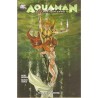 AQUAMAN DISPONIBLES