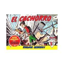 EL CACHORRO REEDICION , LOTE CON LOS NUMEROS 131 AL 170