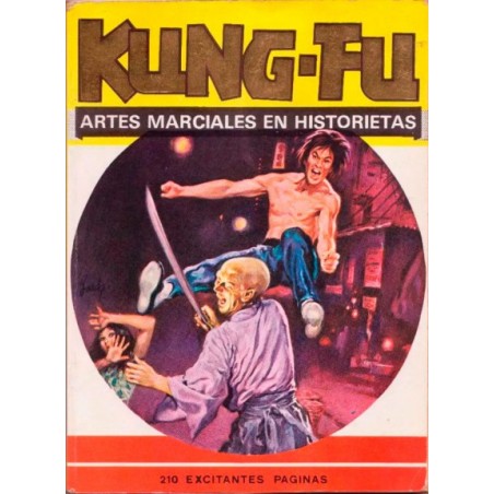 KUNG-FU ARTES MARCIALES EN HISTORIETAS Nº 33 AL 36 EN UN RETAPADO