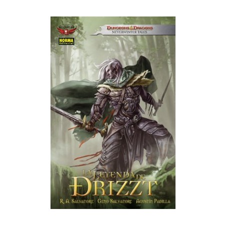 COLECCION ALQUIMIA Nº 22 DUNGEONS & DRAGONS LA LEYENDA DE DRIZZT