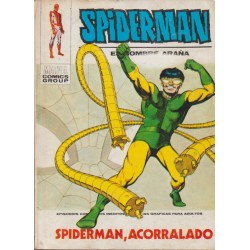 SPIDERMAN ED.VERTICE VOL.1...