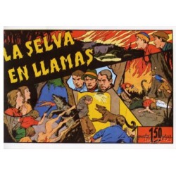 JUAN Y LUIS REEDICION LOTE DE 5 TEBEOS : EN LAS INEXPLORADAS SELVAS DEL AMAZONAS ...