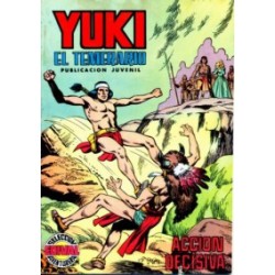 YUKI EL TEMERARIO _COLECCION COMPLETA  , 22 TEBEOS , EDICION VERTICAL