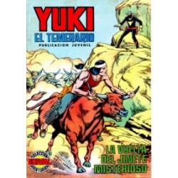 YUKI EL TEMERARIO _COLECCION COMPLETA  , 22 TEBEOS , EDICION VERTICAL