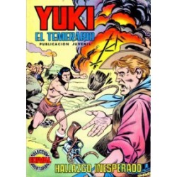 YUKI EL TEMERARIO _COLECCION COMPLETA  , 22 TEBEOS , EDICION VERTICAL