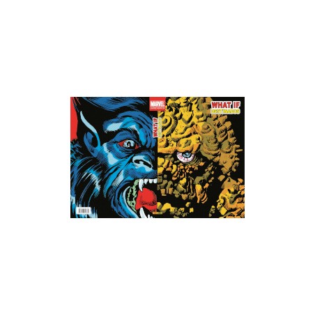 MARVEL LIMITED EDITION WHAT IF ...VOL.4 : DESTINADOS