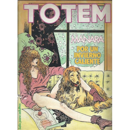 TOTEM 1ª EPOCA Nº 60 AL 63 FORMATO MAGACINE