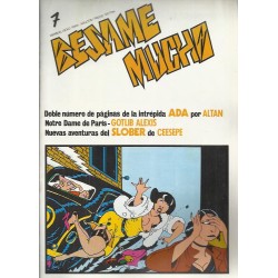 BESAME MUCHO LOTE DE 24 REVISTAS DE COMIX ( 25 NUMEROS )