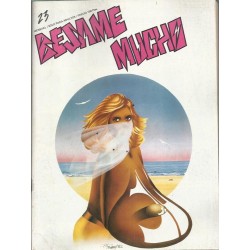 BESAME MUCHO LOTE DE 24 REVISTAS DE COMIX ( 25 NUMEROS )