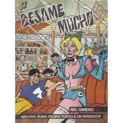 BESAME MUCHO LOTE DE 24 REVISTAS DE COMIX ( 25 NUMEROS )