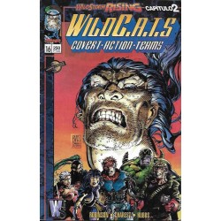 WILDCATS VOL.1 Nº 1 AL 16...