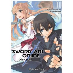 Sword art online Aincrad...