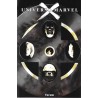 UNIVERSO MARVEL X Nº 1 AL 5 ( TIERRA X )