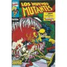 LOS NUEVOS MUTANTES VOL.1  MARVEL TWO IN ONE  n. 58