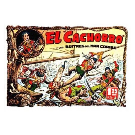 EL CACHORRO COL.COMPLETA , REEDICION , ENCUADERNADA EN 12 VOLUMENES
