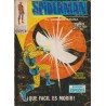 SPIDERMAN COL.COMPLETA EDITORIAL VERTICE VOL.1 , Nº 1 AL 59