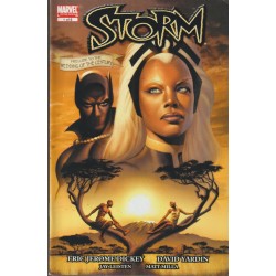 STORM ( TORMENTA ) COL.COMPLETA Nº 1 A 6 , USA, INGLES , COMIC-BOOK