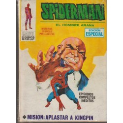 SPIDERMAN VERTICE VOL.1 Nº...