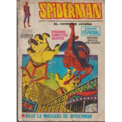 SPIDERMAN VOL.1 VERTICE N...