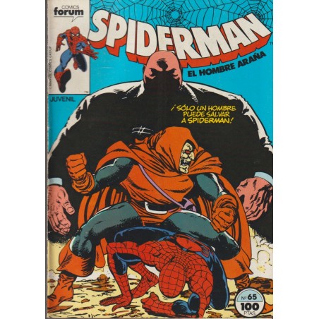 SPIDERMAN EDITORIAL FORUM VOL.1 Nº 65