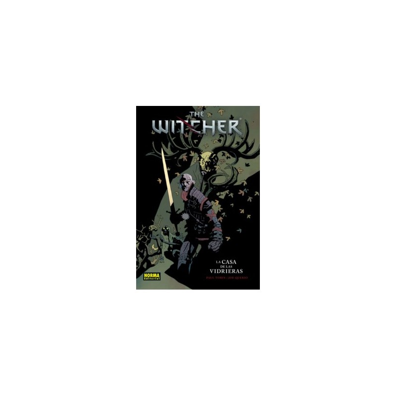 THE WITCHER VOL.1 : LA CASA DE LAS VIDRIERAS , 5ª EDICION