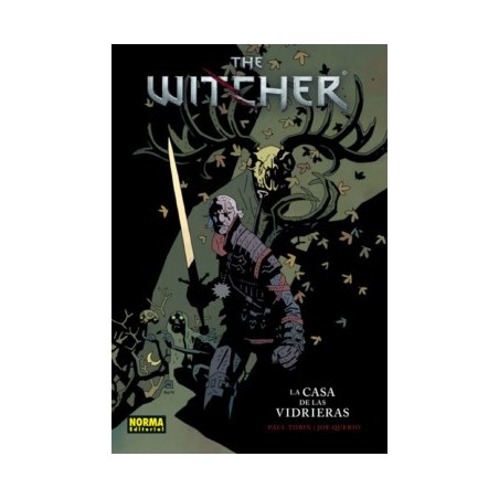 THE WITCHER VOL.1 : LA CASA DE LAS VIDRIERAS , 5ª EDICION