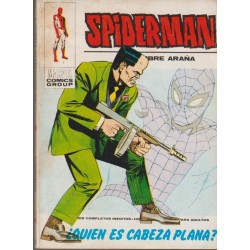 SPIDERMAN ED.VERTICE VOL.1...