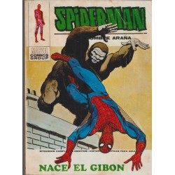 SPIDERMAN ED.VERTICE VOL.1...