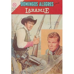 DOMINGOS ALEGRES Nº 522 LARAMIE