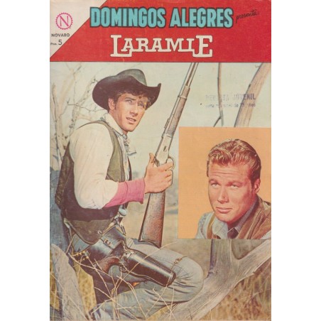 DOMINGOS ALEGRES Nº 522 LARAMIE