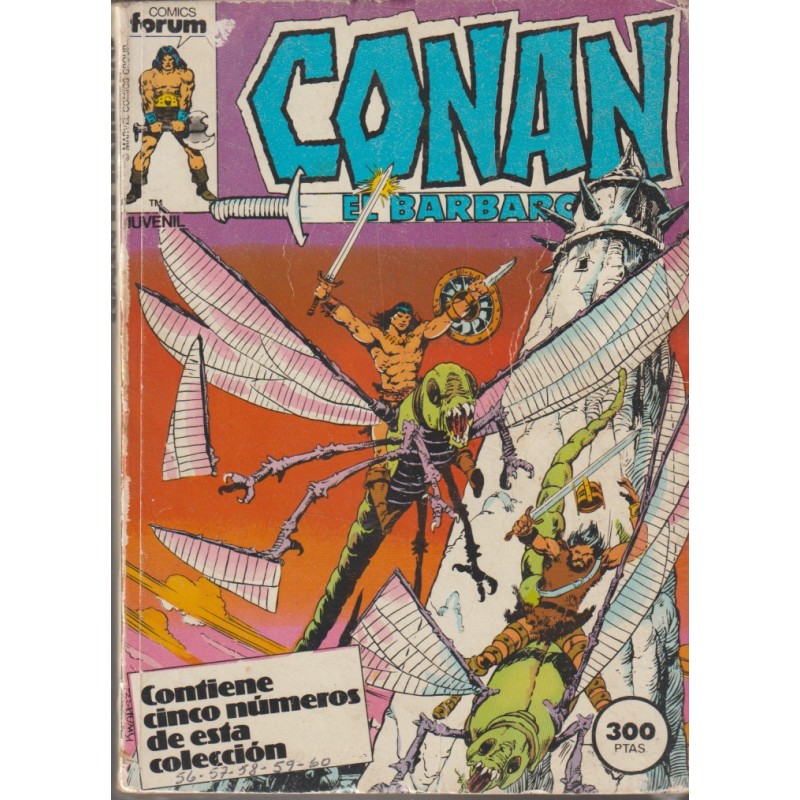 CONAN EL BARBARO VOL.1 Nº 56 AL 60 EN UN RETAPADO