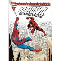 DAREDEVIL BIBLIOTECA MARVEL Nº 1 A 22 , COLECCION COMPLETA