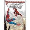DAREDEVIL BIBLIOTECA MARVEL Nº 1 A 22 , COLECCION COMPLETA