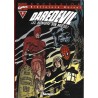DAREDEVIL BIBLIOTECA MARVEL Nº 1 A 22 , COLECCION COMPLETA