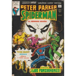 PETER PARKER SPIDERMAN ED.VERTICE Nº 09 AL 13,1617 ( ULTIMO )