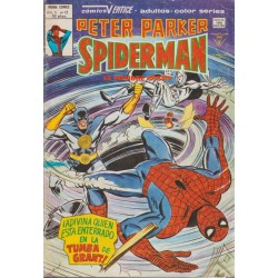 PETER PARKER SPIDERMAN ED.VERTICE Nº 09 AL 13,1617 ( ULTIMO )
