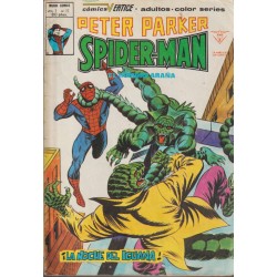 PETER PARKER SPIDERMAN ED.VERTICE Nº 09 AL 13,1617 ( ULTIMO )