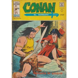 CONAN EL BARBARO ED.VERTICE VOL.2 NUMEROS 20 AL 43 , A FALTA DE LOS NUMEROS 26 Y 28 ( 22 COMICS DE CONAN EL BARBARO )