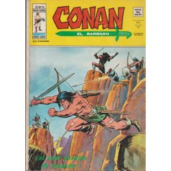 CONAN EL BARBARO ED.VERTICE VOL.2 NUMEROS 20 AL 43 , A FALTA DE LOS NUMEROS 26 Y 28 ( 22 COMICS DE CONAN EL BARBARO )