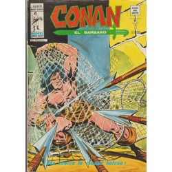 CONAN EL BARBARO ED.VERTICE VOL.2 NUMEROS 20 AL 43 , A FALTA DE LOS NUMEROS 26 Y 28 ( 22 COMICS DE CONAN EL BARBARO )