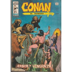 CONAN EL BARBARO ED.VERTICE VOL.2 NUMEROS 20 AL 43 , A FALTA DE LOS NUMEROS 26 Y 28 ( 22 COMICS DE CONAN EL BARBARO )