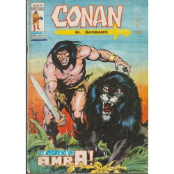 CONAN EL BARBARO ED.VERTICE VOL.2 NUMEROS 20 AL 43 , A FALTA DE LOS NUMEROS 26 Y 28 ( 22 COMICS DE CONAN EL BARBARO )